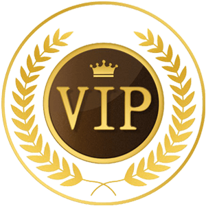 VIP BRONZE